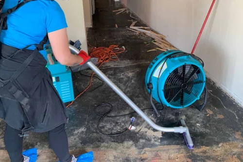 water damage cleanup